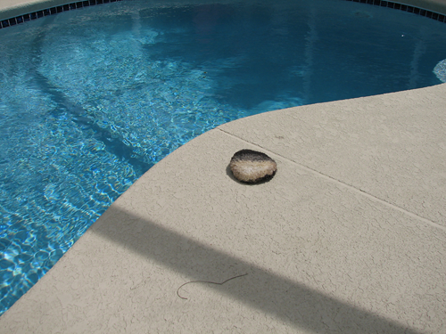 Puffy by the pool