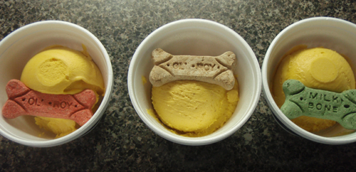 Pumpkin Ice Cream