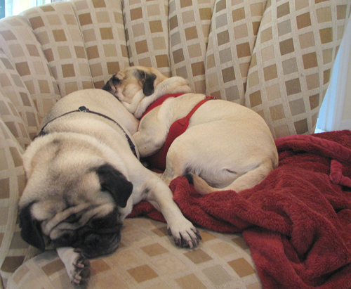 Benjamin & Henry