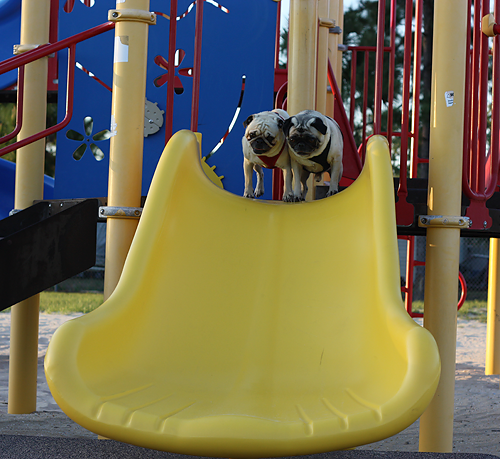 Benjamin & Henry going down the slide