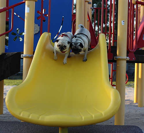 Benjamin & Henry going down the slide