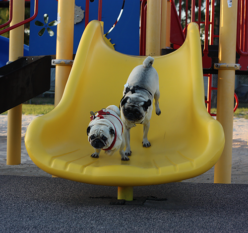 Benjamin & Henry going down the slide