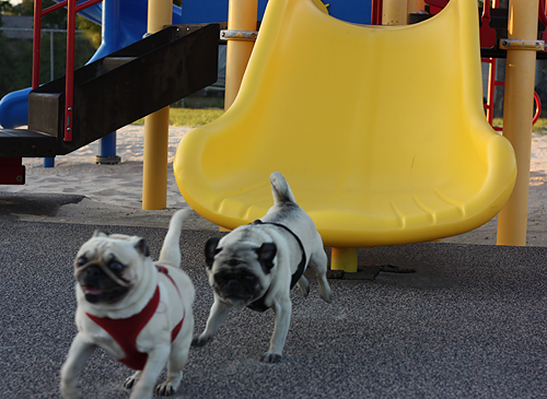 Benjamin & Henry going down the slide