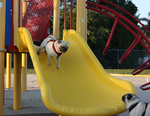 Benjamin going down the slide.  Henry in wait.