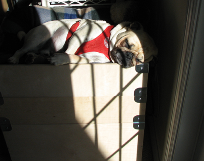 Benjamin Sleeping