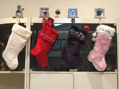 The stockings