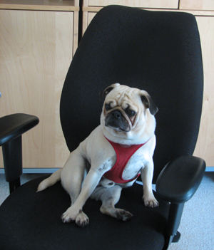 Benjamin is now in charge