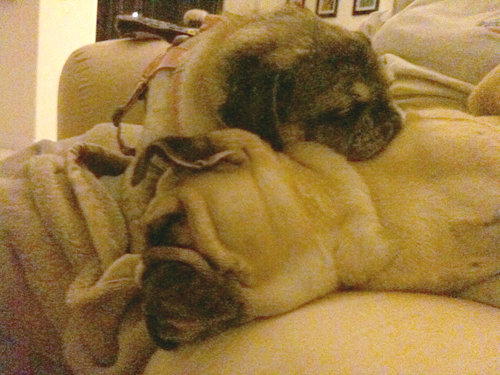 Benjamin & Luna