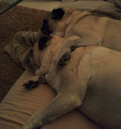 Benjamin and Henry