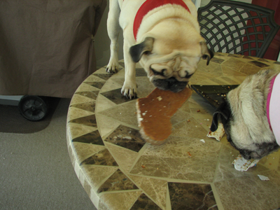 Benjamin and the birthday cake