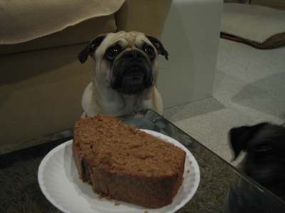 Benjamin waiting for pumpkin bread