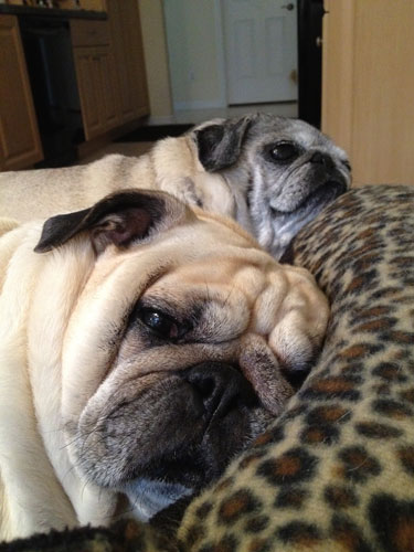Benjamin and Luna