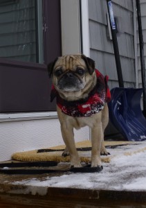 lumberjack coat