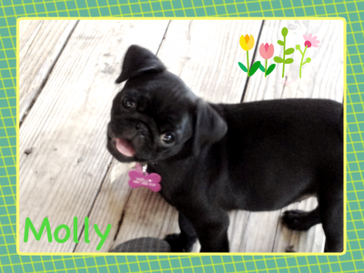 Molly
