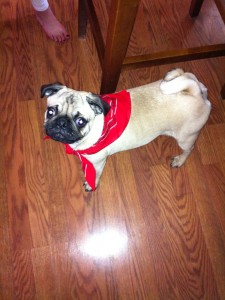 Me & my red bandana!