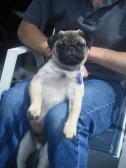 Just Chillin'