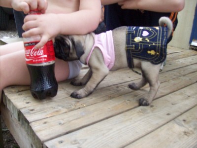 She could do a Coke commerical