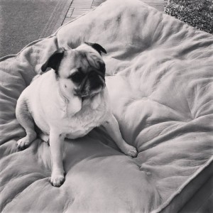 Our Sweet Gracey