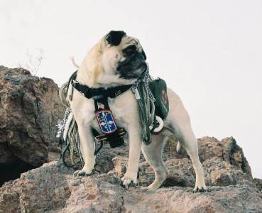 Lt. Vincent Thomas Pug at Command Post in Baghdad