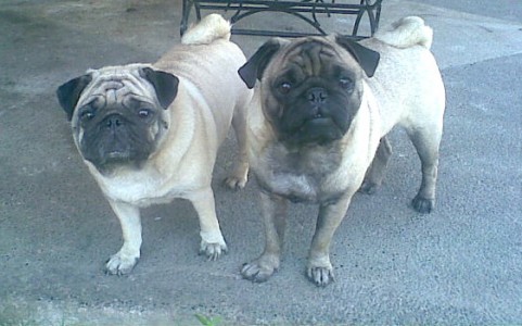 bixby's Uncle Marcus!!