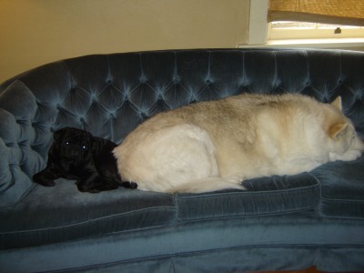 Dude and the 170 lb. Bear