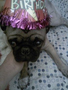 bills birthday