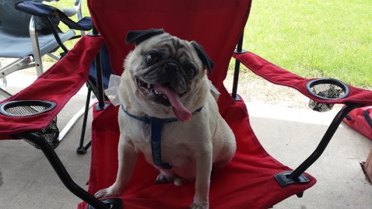 Texas day at the lake.