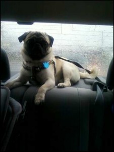 car ride