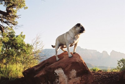 Me atop a Rock in Sedona, Arizona