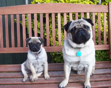 Chillin