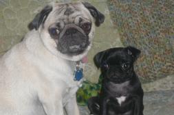 Bella and little Kloe