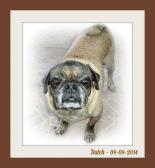 Butch my foster