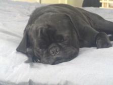 Zzzzz