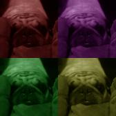 Cletus Pop Art