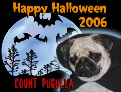 Count Pugulla
