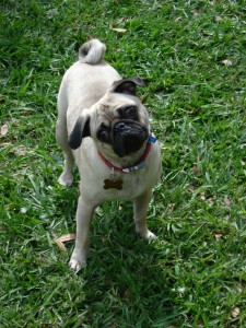 Sydney On a Sunny Florida Day!