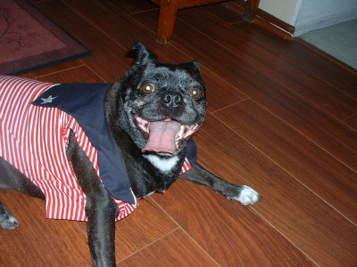 Patriotic Tiny