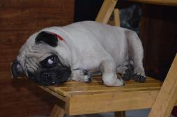 cute babsy