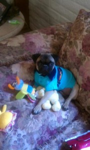 Stylin' Duncan
