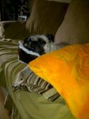EMILY ANN JUST RELAXING AT SISTERS HOUSE