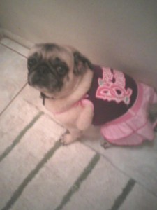 dress up time