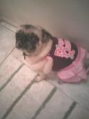 dress up time