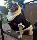 Let's Go Giants !!!!