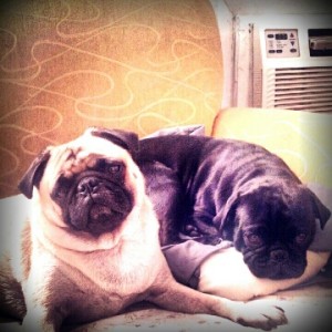 Buddy and Moe
