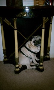The Pug Throne