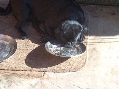 I am hungry - again!