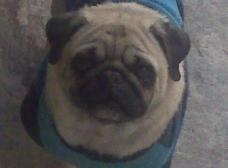 jack