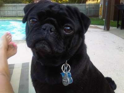 Otto