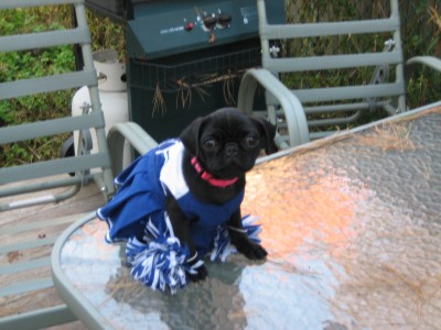 Cheer Pug