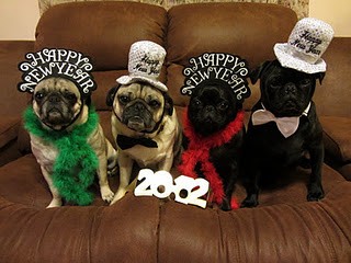 Happy New Year